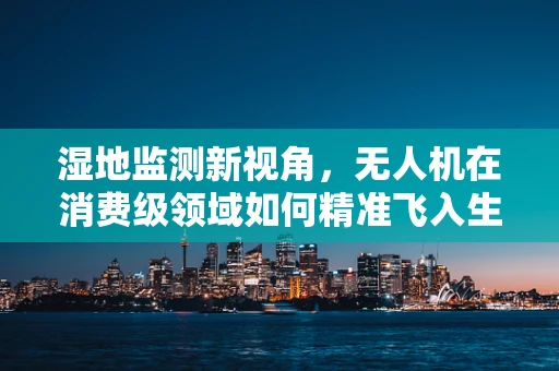 湿地监测新视角，无人机在消费级领域如何精准飞入生态保护？