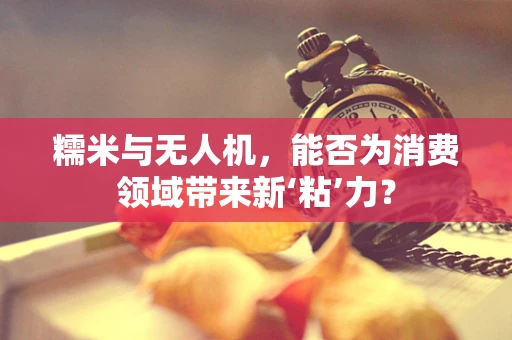 糯米与无人机，能否为消费领域带来新‘粘’力？