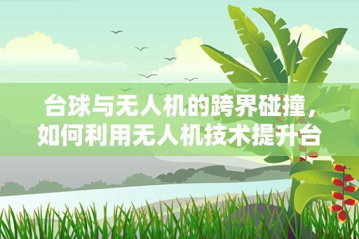 台球与无人机的跨界碰撞，如何利用无人机技术提升台球教学体验？