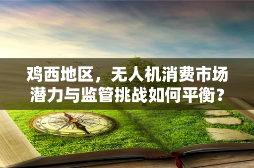 鸡西地区，无人机消费市场潜力与监管挑战如何平衡？