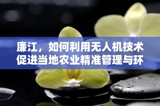 廉江，如何利用无人机技术促进当地农业精准管理与环境监测？