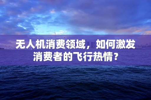 无人机消费领域，如何激发消费者的飞行热情？