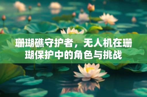 珊瑚礁守护者，无人机在珊瑚保护中的角色与挑战
