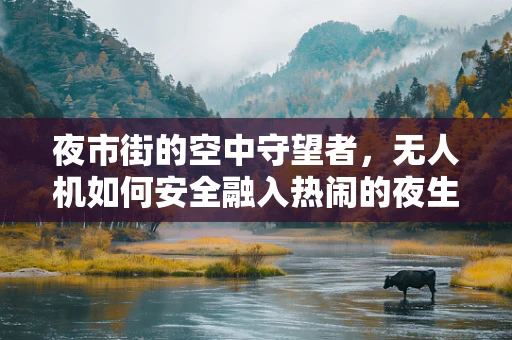 夜市街的空中守望者，无人机如何安全融入热闹的夜生活？