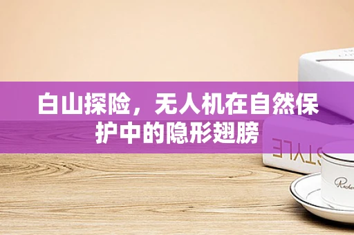 白山探险，无人机在自然保护中的隐形翅膀