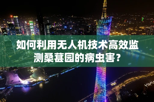 如何利用无人机技术高效监测桑葚园的病虫害？