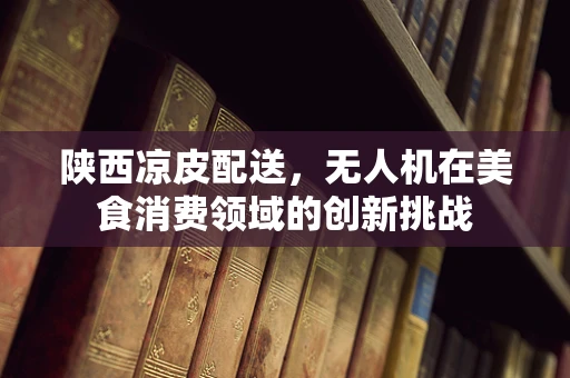 陕西凉皮配送，无人机在美食消费领域的创新挑战