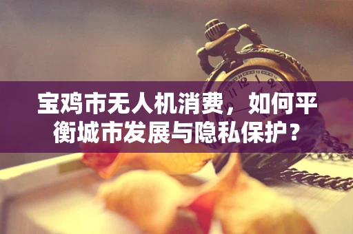 宝鸡市无人机消费，如何平衡城市发展与隐私保护？