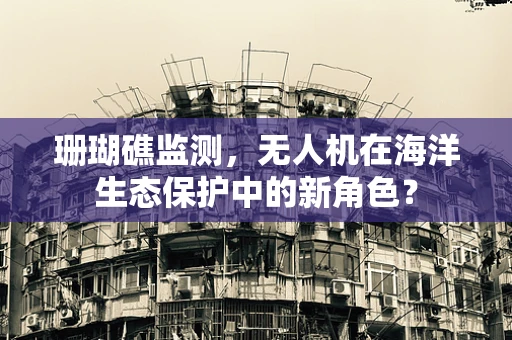 珊瑚礁监测，无人机在海洋生态保护中的新角色？