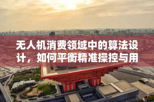 无人机消费领域中的算法设计，如何平衡精准操控与用户友好性？