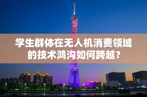 学生群体在无人机消费领域的技术鸿沟如何跨越？