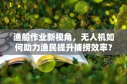 渔船作业新视角，无人机如何助力渔民提升捕捞效率？