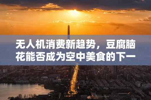 无人机消费新趋势，豆腐脑花能否成为空中美食的下一个大热？