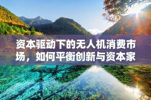 资本驱动下的无人机消费市场，如何平衡创新与资本家的逐利本性？