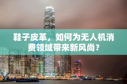 鞋子皮革，如何为无人机消费领域带来新风尚？