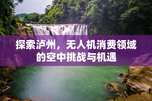 探索泸州，无人机消费领域的空中挑战与机遇