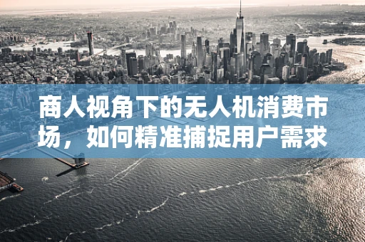 商人视角下的无人机消费市场，如何精准捕捉用户需求？