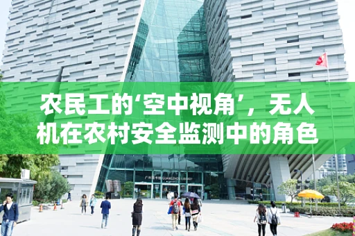 农民工的‘空中视角’，无人机在农村安全监测中的角色与挑战