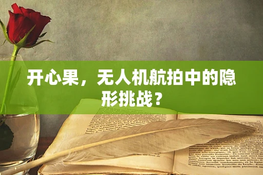 开心果，无人机航拍中的隐形挑战？