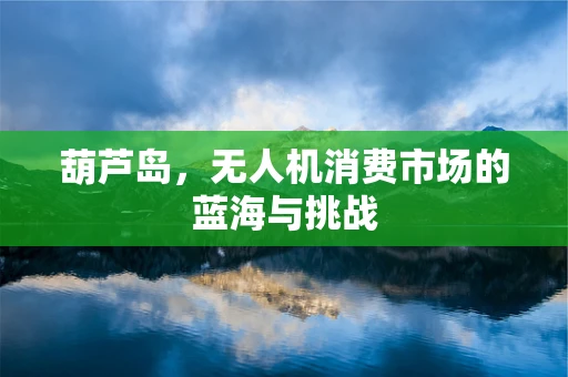 葫芦岛，无人机消费市场的蓝海与挑战