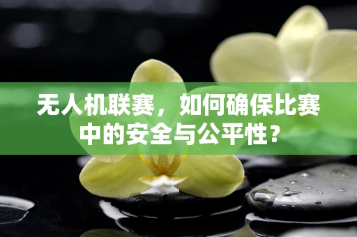 无人机联赛，如何确保比赛中的安全与公平性？