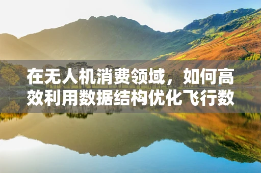 在无人机消费领域，如何高效利用数据结构优化飞行数据管理？