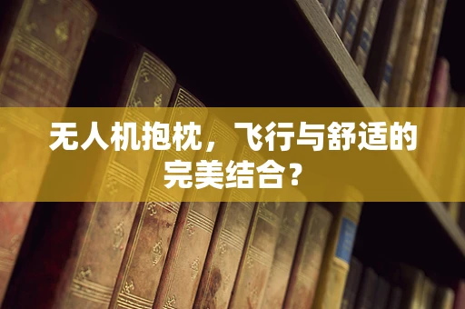 无人机抱枕，飞行与舒适的完美结合？