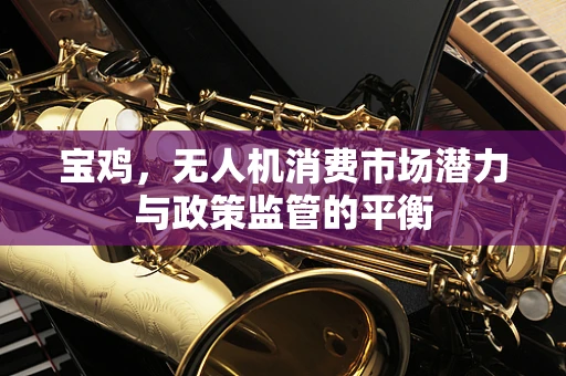 宝鸡，无人机消费市场潜力与政策监管的平衡