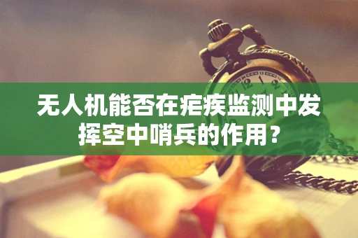 无人机能否在疟疾监测中发挥空中哨兵的作用？