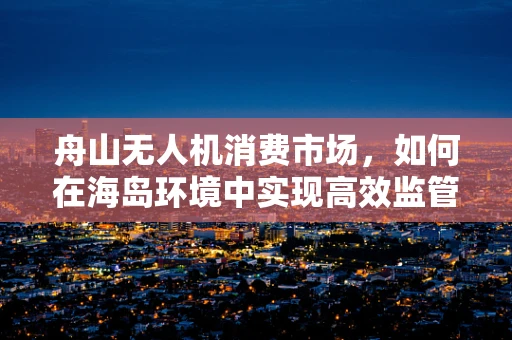 舟山无人机消费市场，如何在海岛环境中实现高效监管与安全飞行？