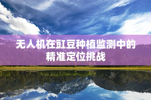 无人机在豇豆种植监测中的精准定位挑战