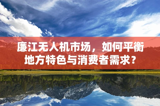 廉江无人机市场，如何平衡地方特色与消费者需求？