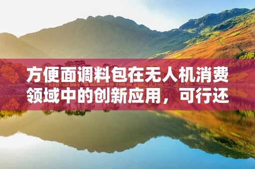 方便面调料包在无人机消费领域中的创新应用，可行还是噱头？