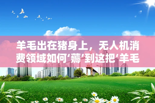 羊毛出在猪身上，无人机消费领域如何‘薅’到这把‘羊毛’？