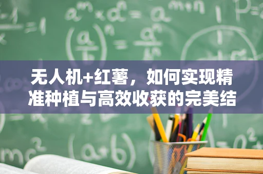 无人机+红薯，如何实现精准种植与高效收获的完美结合？