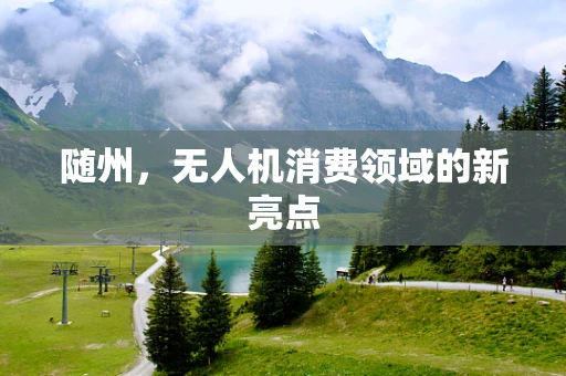 随州，无人机消费领域的新亮点