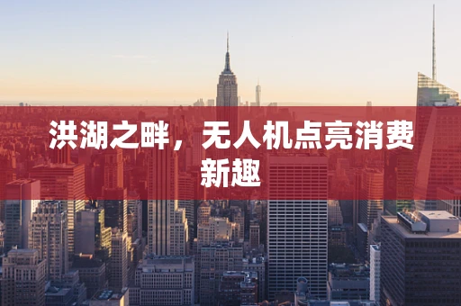 洪湖之畔，无人机点亮消费新趣