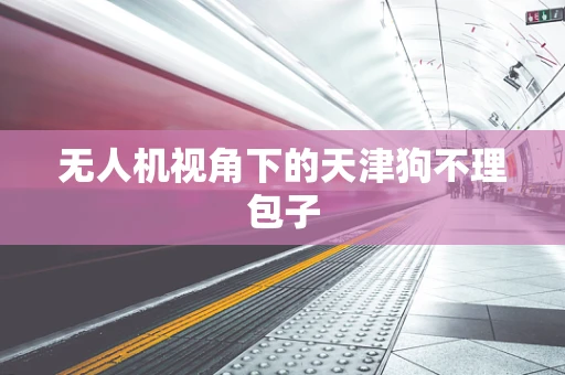 无人机视角下的天津狗不理包子