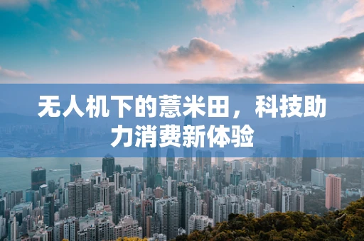 无人机下的薏米田，科技助力消费新体验