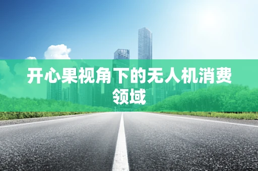 开心果视角下的无人机消费领域