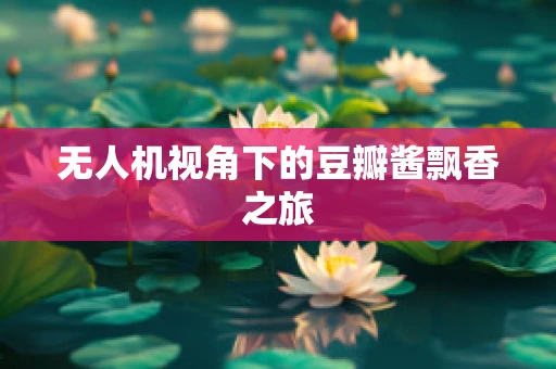 无人机视角下的豆瓣酱飘香之旅
