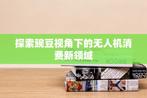 探索豌豆视角下的无人机消费新领域
