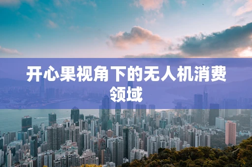 开心果视角下的无人机消费领域