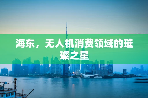 海东，无人机消费领域的璀璨之星