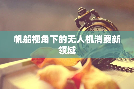 帆船视角下的无人机消费新领域