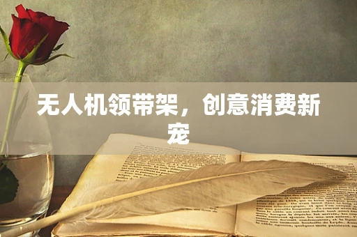 无人机领带架，创意消费新宠