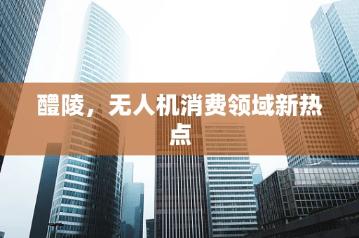 醴陵，无人机消费领域新热点