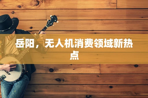 岳阳，无人机消费领域新热点