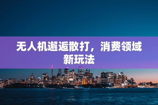 无人机邂逅散打，消费领域新玩法