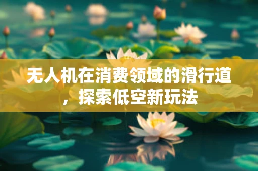无人机在消费领域的滑行道，探索低空新玩法